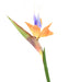 Fiore Strelitzia Artificiale Arancione 80Cm Decorazione