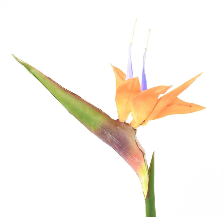Fiore Strelitzia Artificiale Arancione 80Cm Decorazione