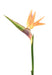 Fiore Strelitzia Artificiale Arancione 80Cm Decorazione