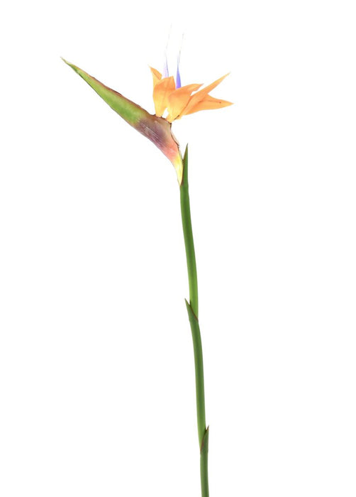 Fiore Strelitzia Artificiale Arancione 80Cm Decorazione