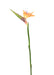 Fiore Strelitzia Artificiale Arancione 80Cm Decorazione
