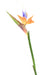 Fiore Strelitzia Artificiale Arancione 80Cm Decorazione