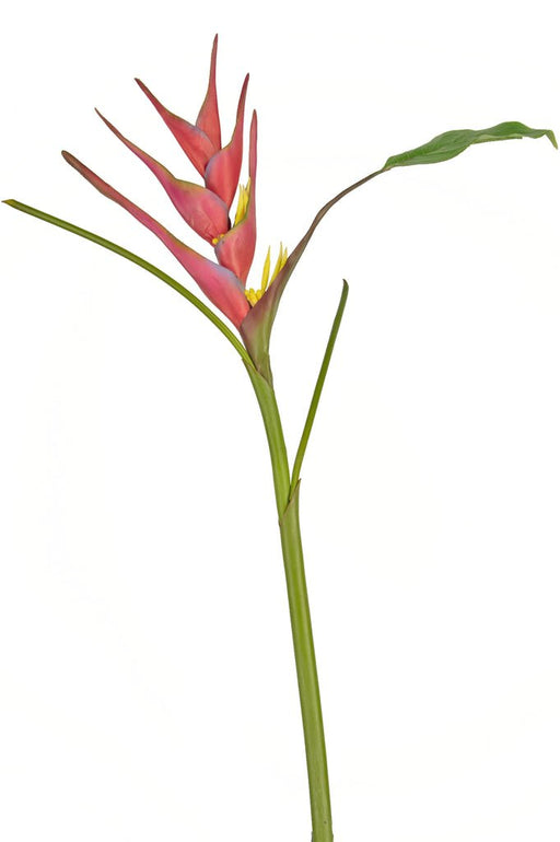 Fiore Artificiale Heliconia Fucsia