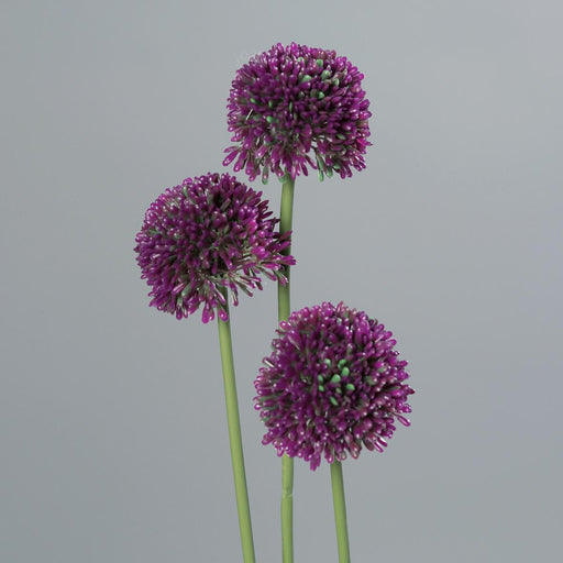 Set Di 3 Fiori Artificiali Allium Per La Decorazione