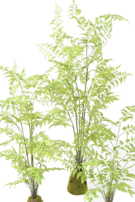 Felce Artificiale Con Base In Muschio H.170 Cm