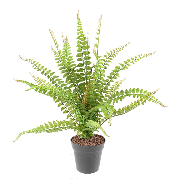 Decorazione D'interni Artificiale Di Felce Di Boston Da 50 Cm