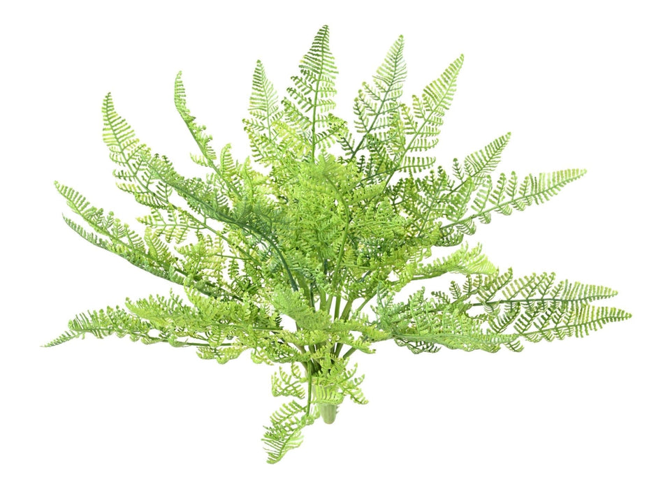 Felce Artificiale Daullia Bullata 35Cm Verde