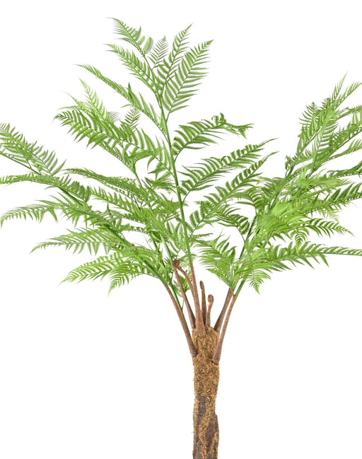 Felce Artificiale Dicksonia 240 Cm Decorazione Interni