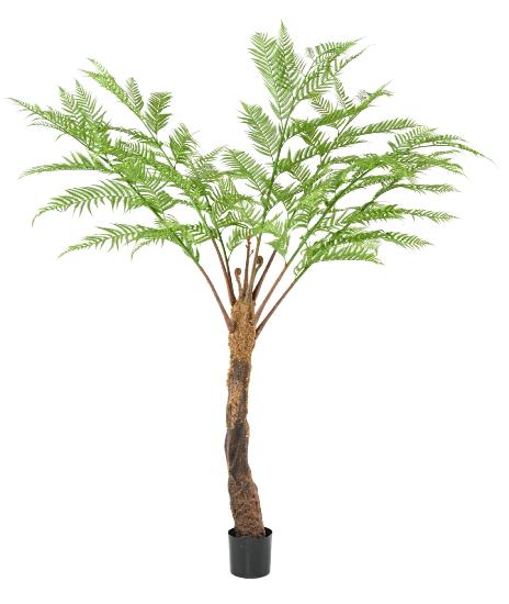 Felce Artificiale Dicksonia 240 Cm Decorazione Interni