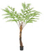 Felce Artificiale Dicksonia 240 Cm Decorazione Interni