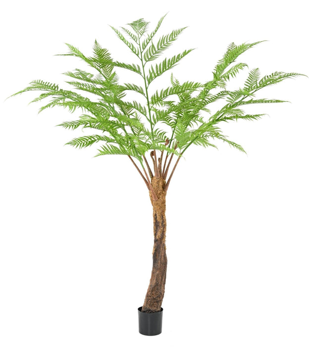 Felce Artificiale Dicksonia 240 Cm Decorazione Interni