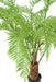 Felce Artificiale Dicksonia Anti-Uv H160Cm Decorativa