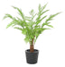 Felce Artificiale Dicksonia Anti-Uv H160Cm Decorativa
