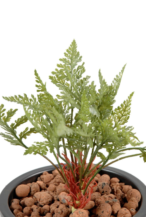 Felce Artificiale Sul Palo Per La Decorazione Esterna