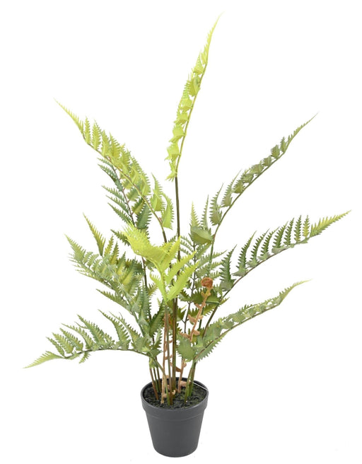 Felce Artificiale In Vaso 65 Cm Pianta Da Interno