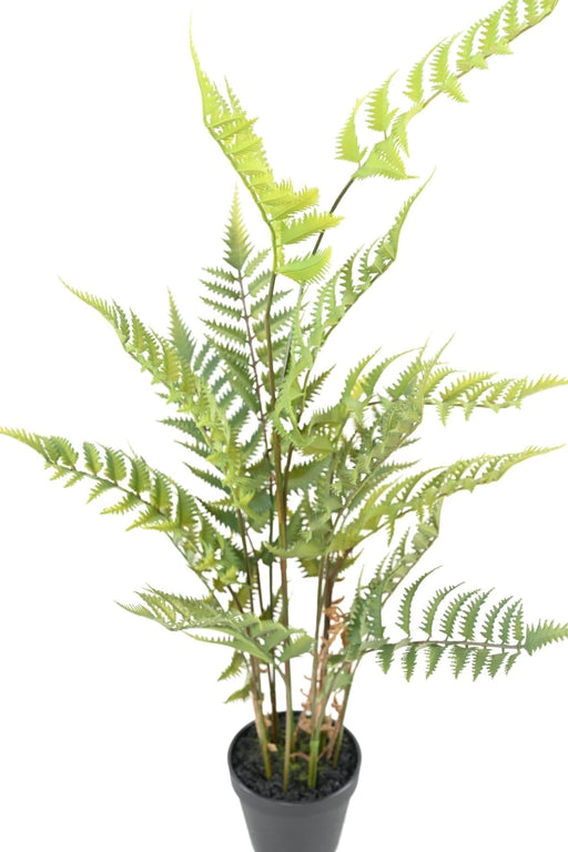 Felce Artificiale In Vaso 80 Cm Per Interni