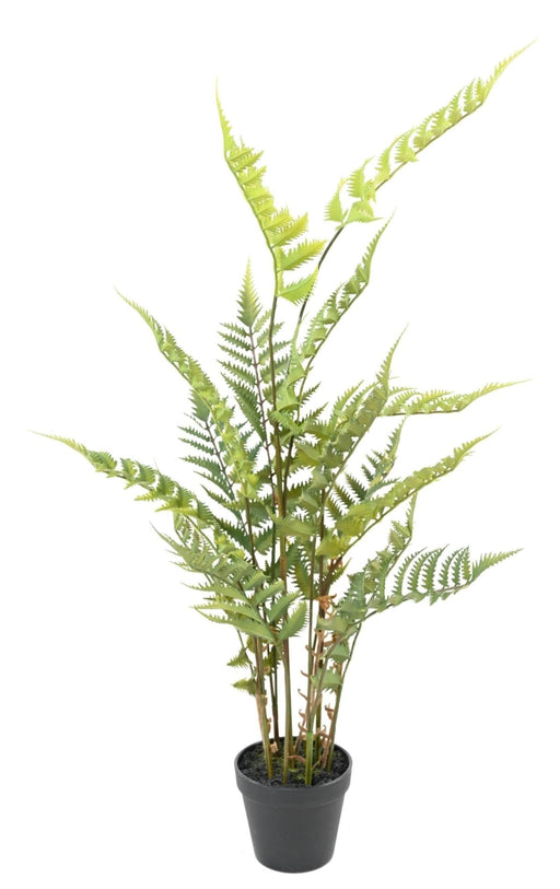 Felce Artificiale In Vaso 80 Cm Per Interni