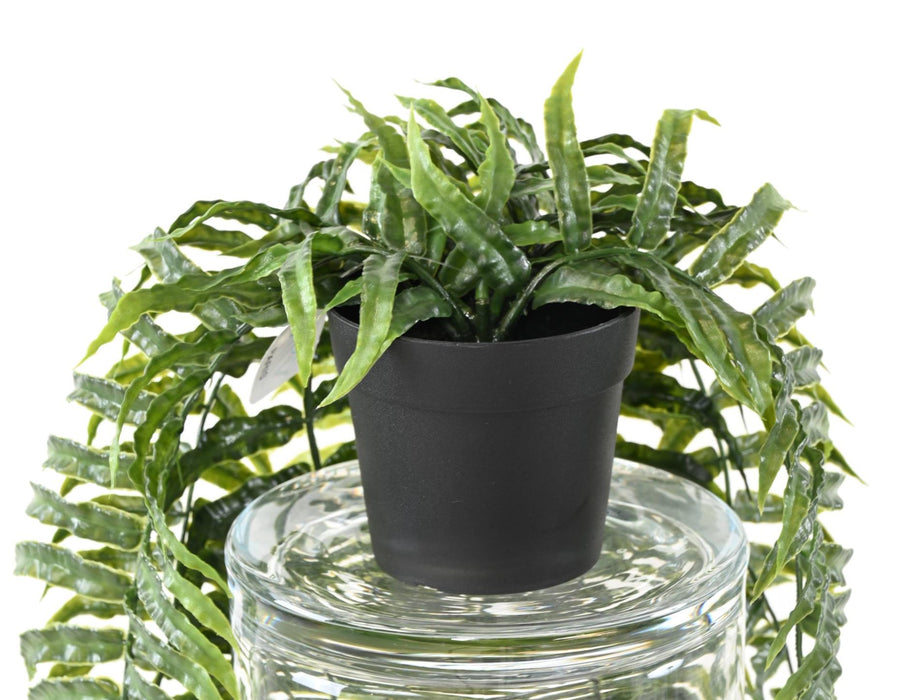 Felce Artificiale In Vaso Resistente Ai Raggi UV 75 Cm