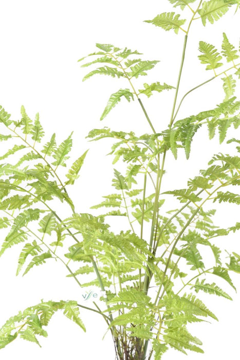 Felce Artificiale Per Decorazione Interni H.95Cm