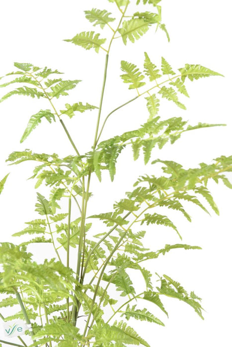 Felce Artificiale Per Decorazione Interni H.95Cm