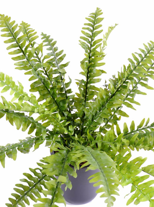 Felce Di Boston Artificiale Su Palo Per Interni