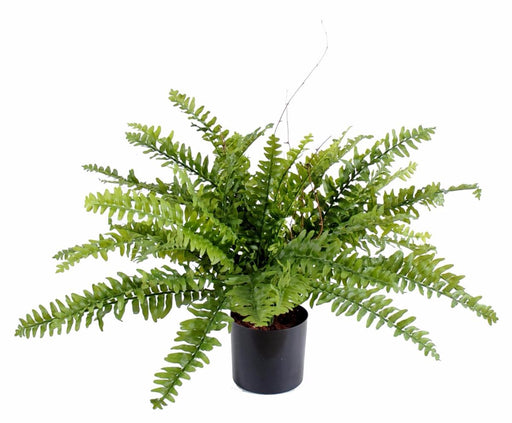 Felce Di Boston Artificiale In Vaso H.50Cm Verde