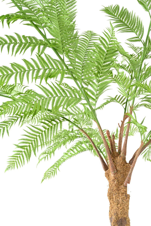 Felce Dicksonia Artificiale 320Cm Per Interni