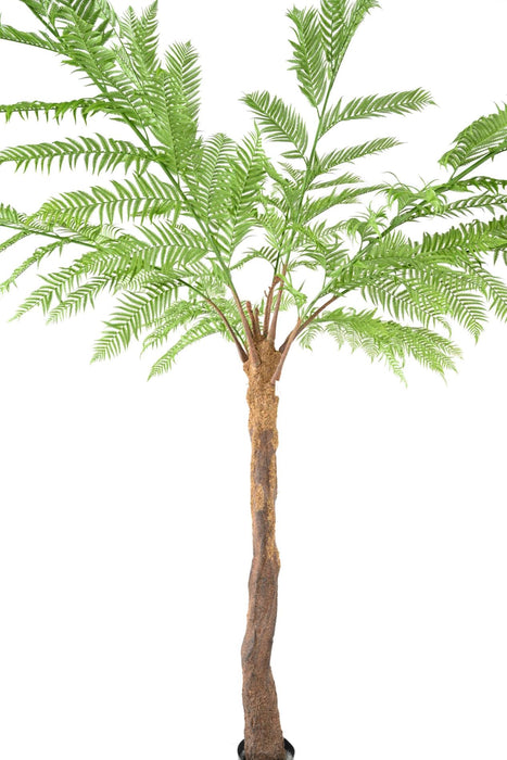 Felce Dicksonia Artificiale 320Cm Per Interni