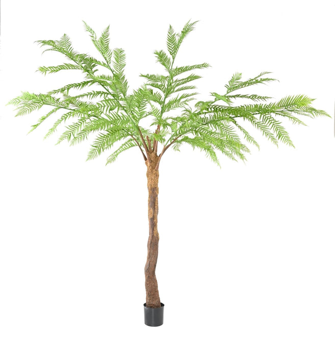 Felce Dicksonia Artificiale 320Cm Per Interni