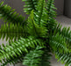 Felce Nefrolepis Artificiale Su Palo 35Cm Verde