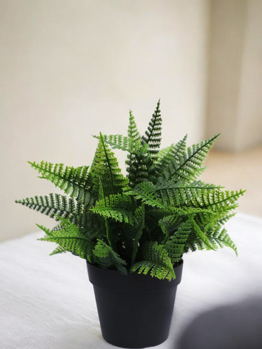 Felce - Pianta Verde Artificiale