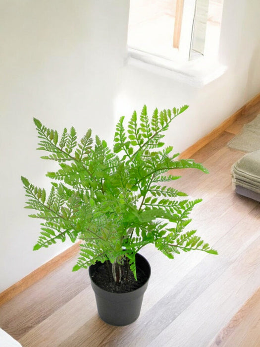 Felce - Pianta Verde Artificiale