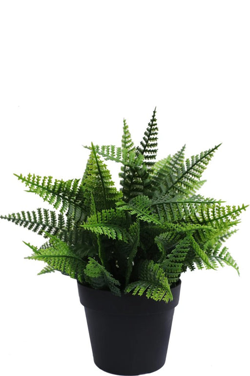 Felce - Pianta Verde Artificiale