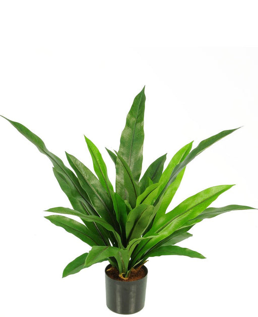 Felce Da Interno - Pianta Verde Artificiale