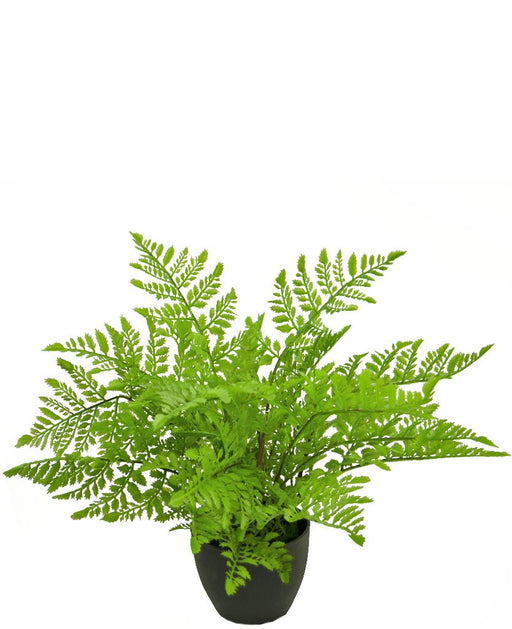 Felce Da Interno - Pianta Verde Artificiale