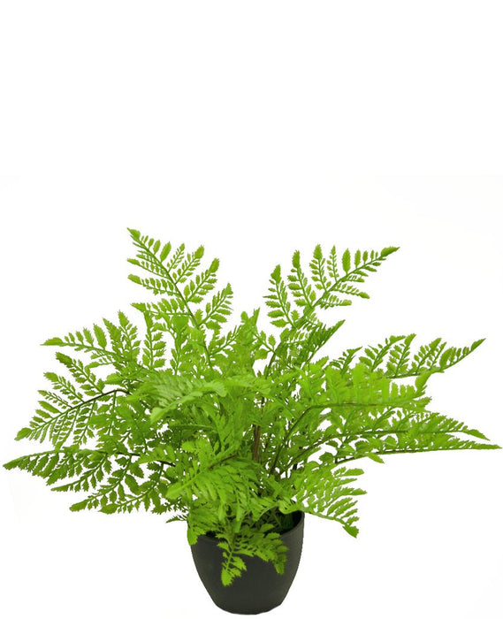 Felce Da Interno - Pianta Verde Artificiale