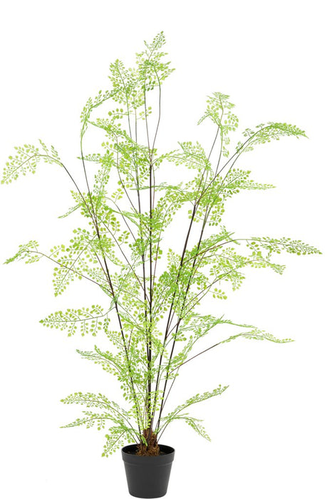 Felce - Grande Pianta Artificiale