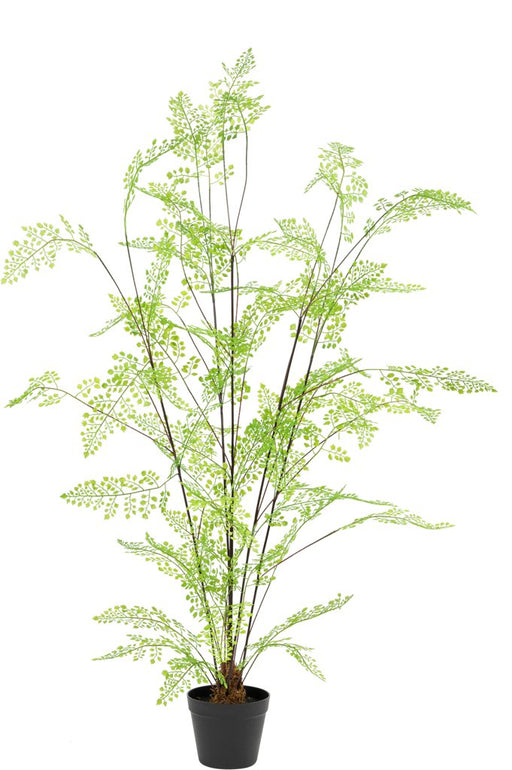 Felce - Grande Pianta Artificiale