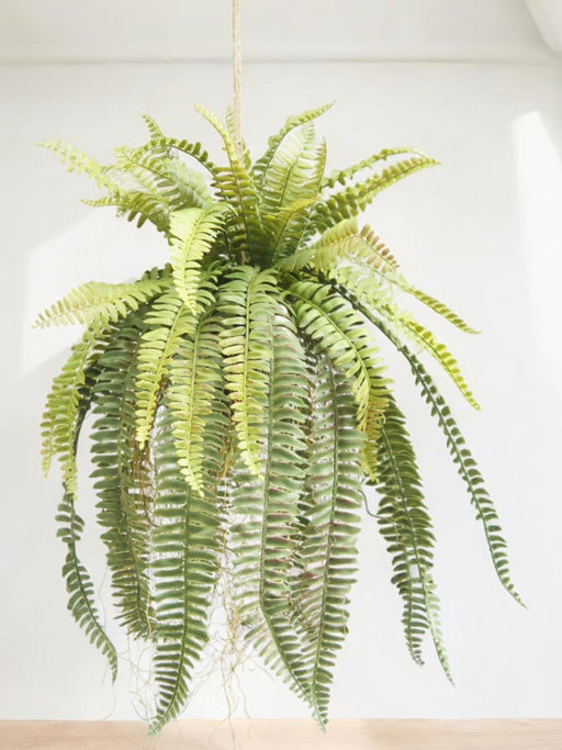 Felce - Pianta Artificiale Che Cade