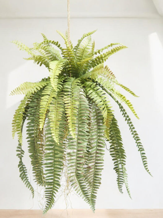 Felce - Pianta Artificiale Che Cade