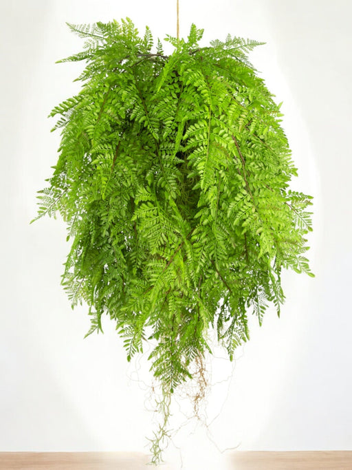 Felce - Pianta Artificiale Che Cade