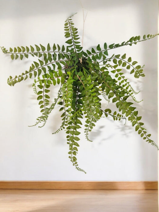 Felce - Pianta Artificiale Che Cade