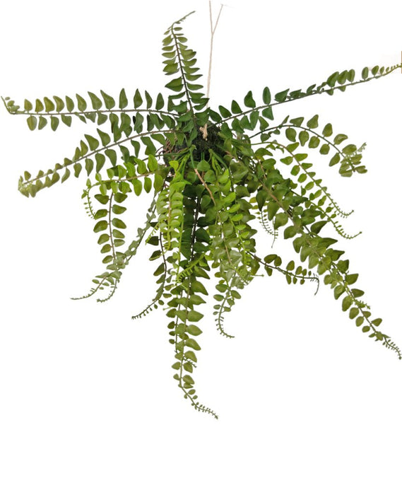 Felce - Pianta Artificiale Che Cade