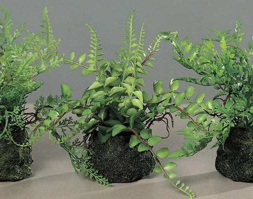 Felci Artificiali Con Base In Muschio H.19Cm Verde