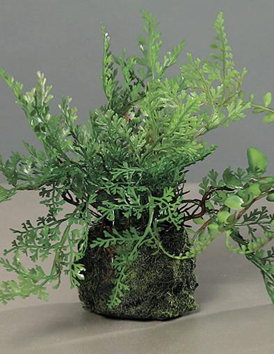 Felci Artificiali Con Base In Muschio H.19Cm Verde