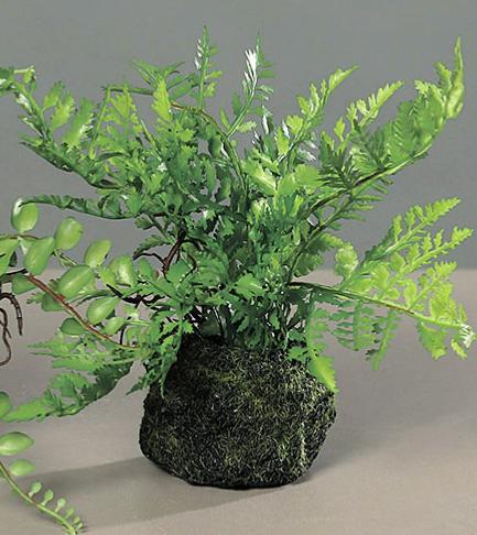 Felci Artificiali Con Base In Muschio H.19Cm Verde