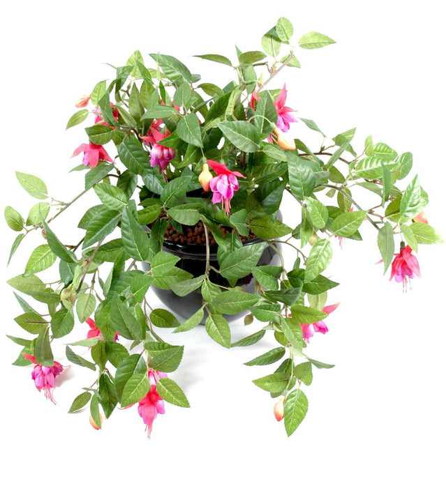 Fucsia Artificiale Su Paletto 25Cm Decorazione Interni
