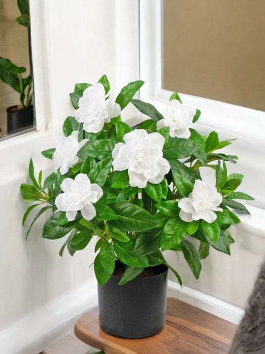 Gardenia Artificiale Bianca