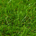 Erba Artificiale 1X10 M/40 Mm Verde