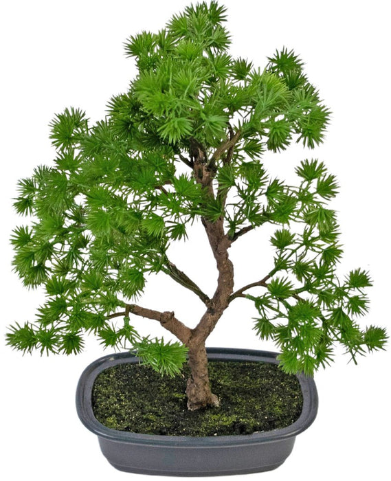 Ginepro - Bonsai Artificiale